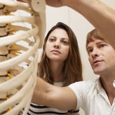 Chiropractic