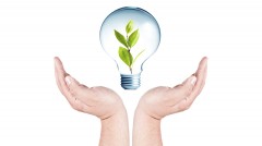 Hand holding light bulb with plant