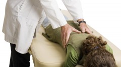 Osteopath Doing Adjustment