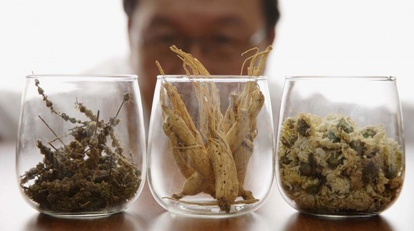 Chinese herbalist with medicinal herbs