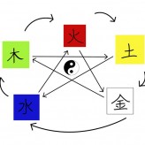 Traditional Chinese Medicine