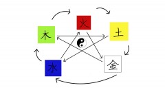 Traditional Chinese Medicine